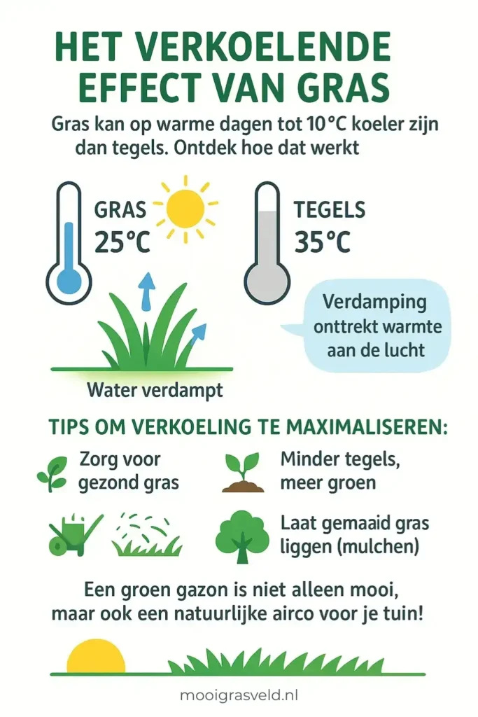 Het verkoelende effect van gras in beeld gebracht met deze infographic.