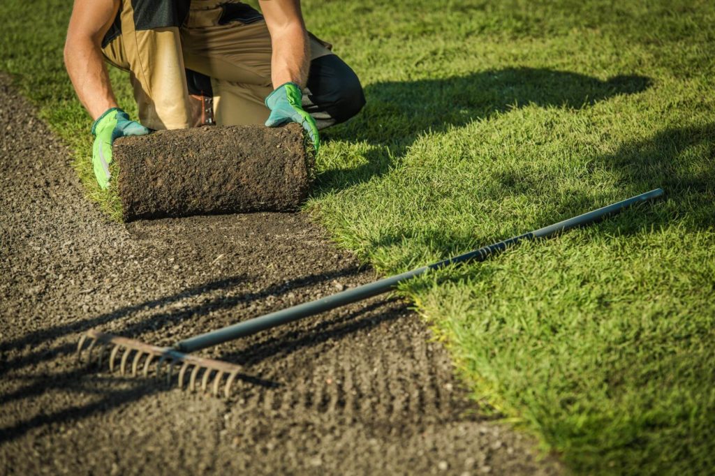 Grasveld aanleggen: Waar moet je op letten?