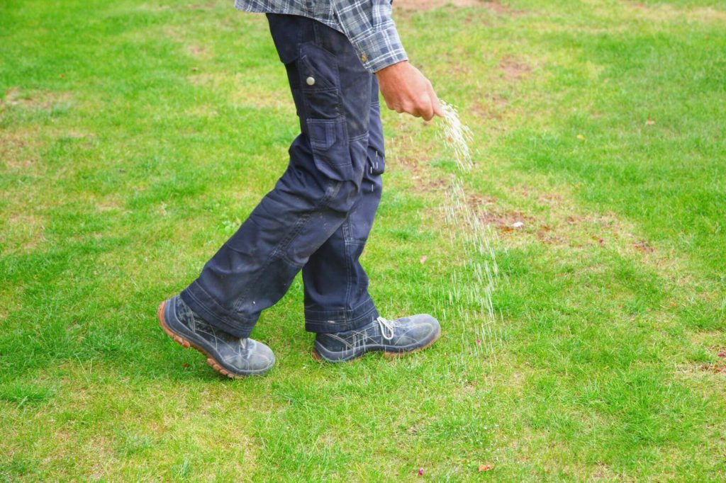 Het bemesten van je grasveld: geef je gras voedingsstoffen
