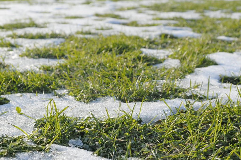 Zo maak je het grasveld winterklaar