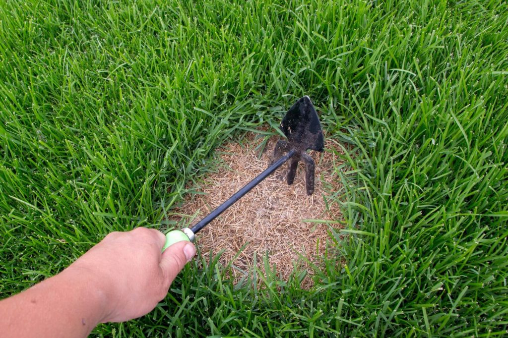 Zo behandel je een kale plek in het gras