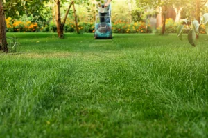 Een perfect grasveld: tips voor goed onderhoud