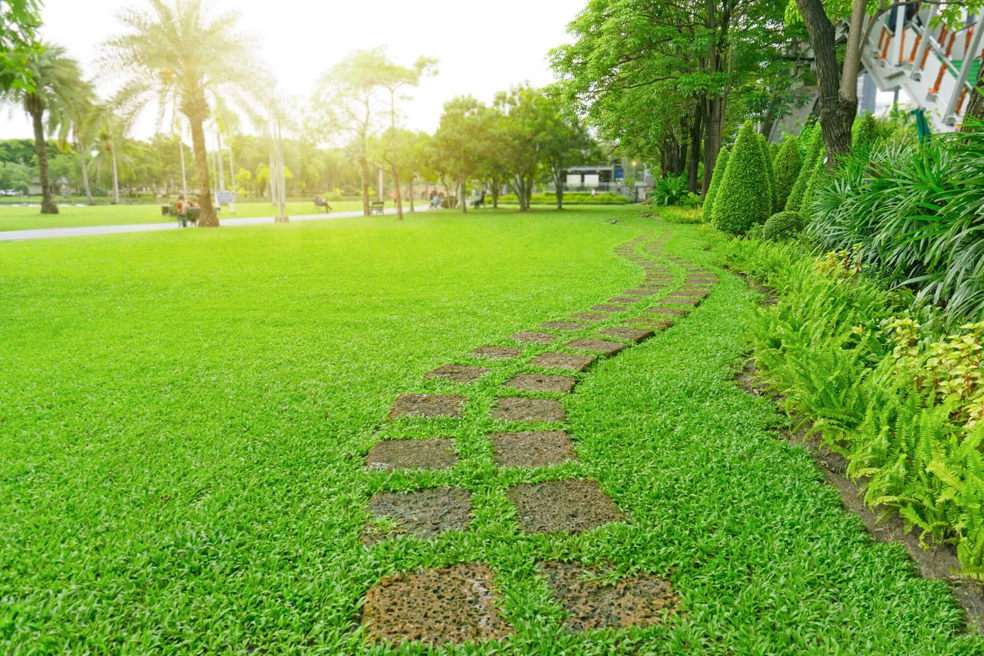Een pad in je grasveld: hoe begin je eraan?