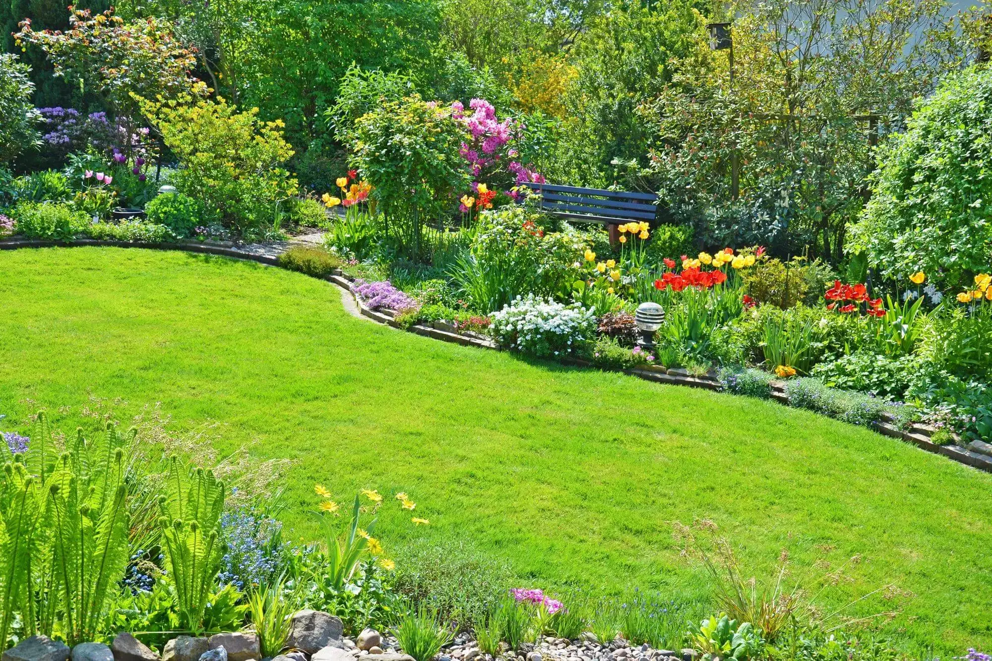 Een mooie plantenborder is een verrijking van je tuin