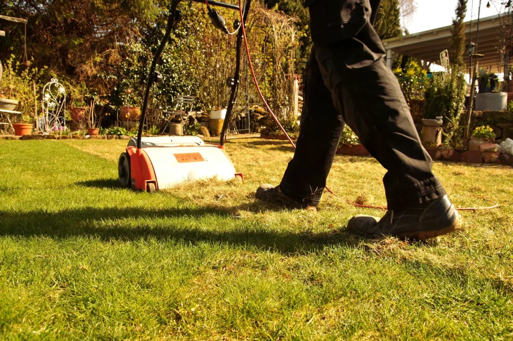 Lente in zicht: tijd voor het voorjaarsonderhoud van het gazon