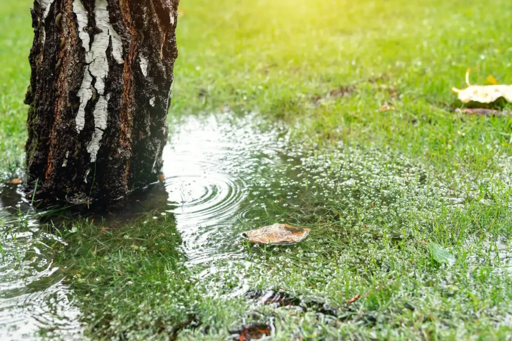 Tips voor het aanleggen van drainage voor een gezond grasveld