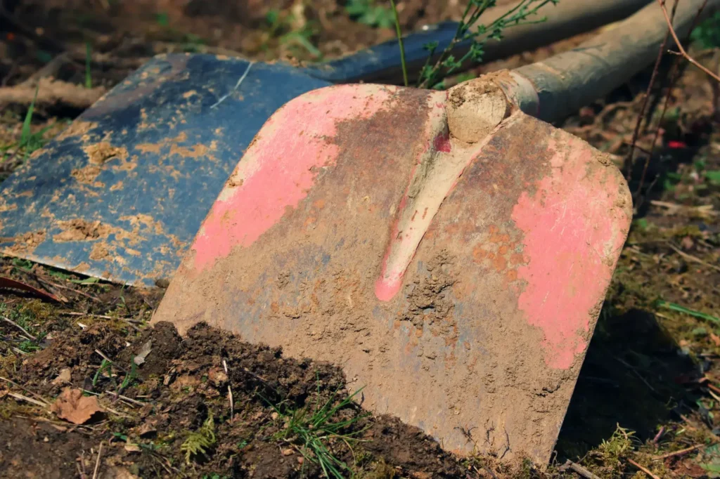 Je tuin voorbereiden voor een mooi gazon: zo begin je ermee