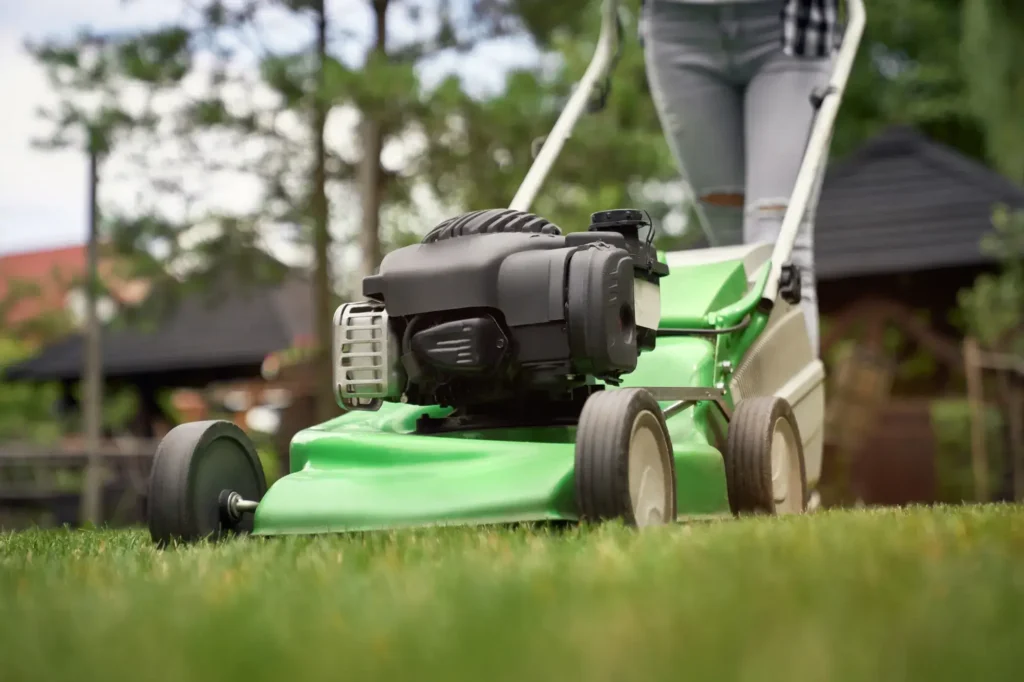 Het gazononderhoud: Zo houd je jouw grasveld in topconditie