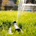 Zo overleeft jouw gazon een periode van droogte zonder problemen.