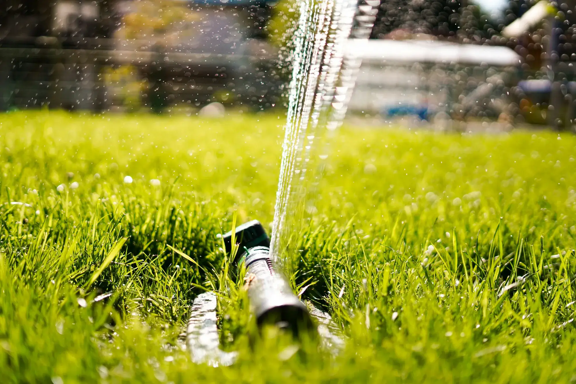 Zo overleeft jouw gazon een periode van droogte zonder problemen.