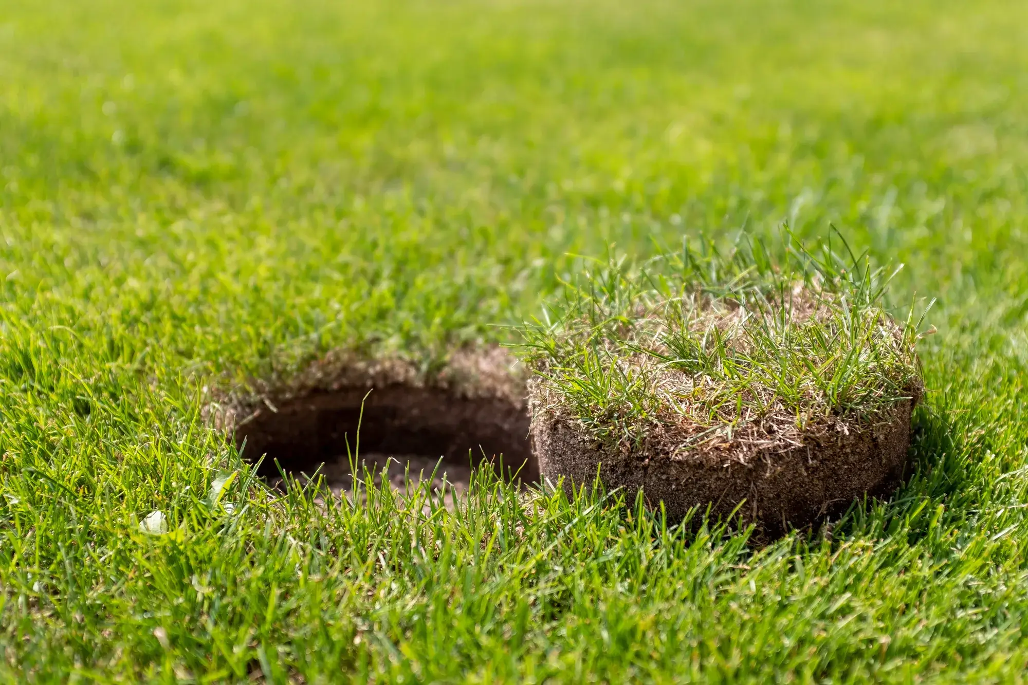 Een gazonrenovatie maakt je grasveld weer als nieuw