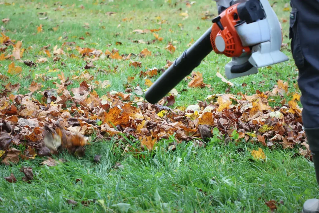 Grasveld onderhoud per seizoen: het hele jaar gezond gras