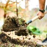 Ga je het oude gras verwijderen of kies je voor het omspitten