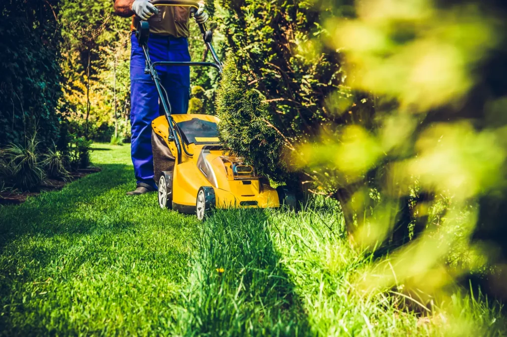 Hoe vaak moet je het gras maaien per seizoen?