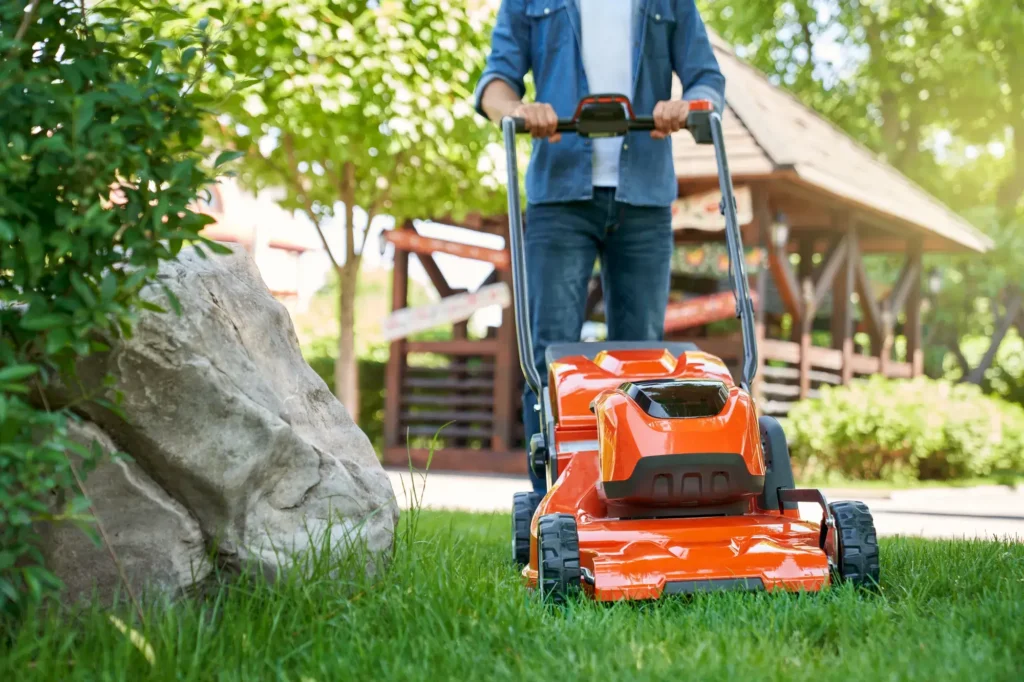 Een onderhoudsarm gazon ontwerpen: tips voor minder onderhoud